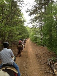 If you love horse back riding than you will love venturing out on our scenic trails. 