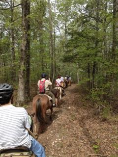 Ride out into the woods on a horse! 