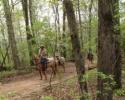 We know you will love horseback riding into the woods and along our beautiful mountain trails. 