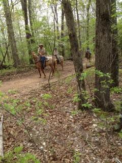 We know you will love horseback riding into the woods and along our beautiful mountain trails. 
